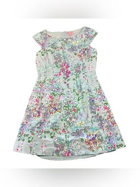 Lilly Pulitzer Briella Dress in Southern Charm Size Large EUC‎
